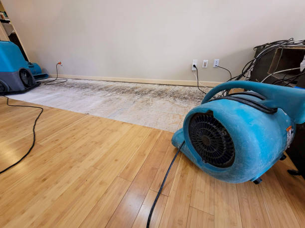 Professional Flood Damage Cleanup technician working in Monitor, WA